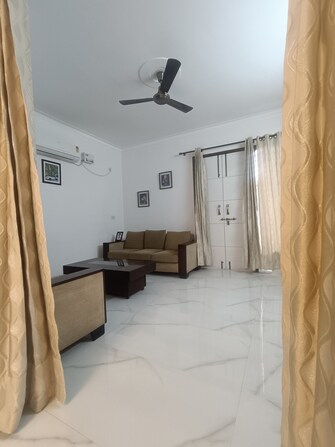 6+ BHK Independent House For Resale in Ansal Plaza Sector-23 Sector 23 Gurgaon  7918289