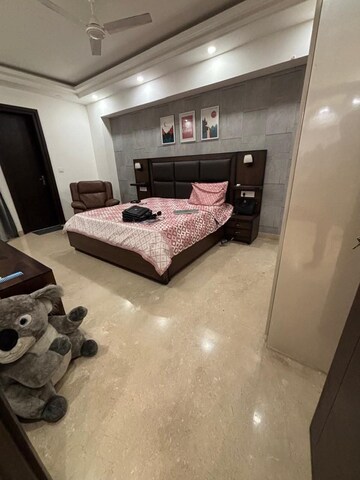 Living Room in 3 BHK Builder Floor at Ansal Plaza Sector-23, Sector 23 – for Rent