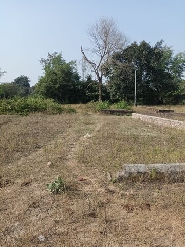 Plot For Resale in Alambagh Lucknow  7918352