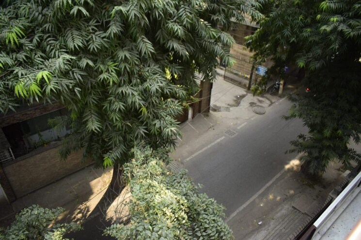 Balcony, south extension ii 4 Bedroom 300 Sq.Yd. Builder Floor In South Extension ii Delhi 7918394