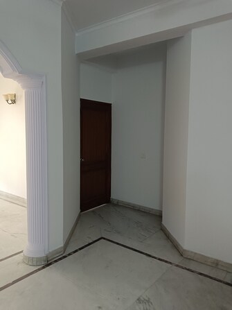 1 RK Villa For Rent in Tulip Mall Sector 46 Noida  7918419