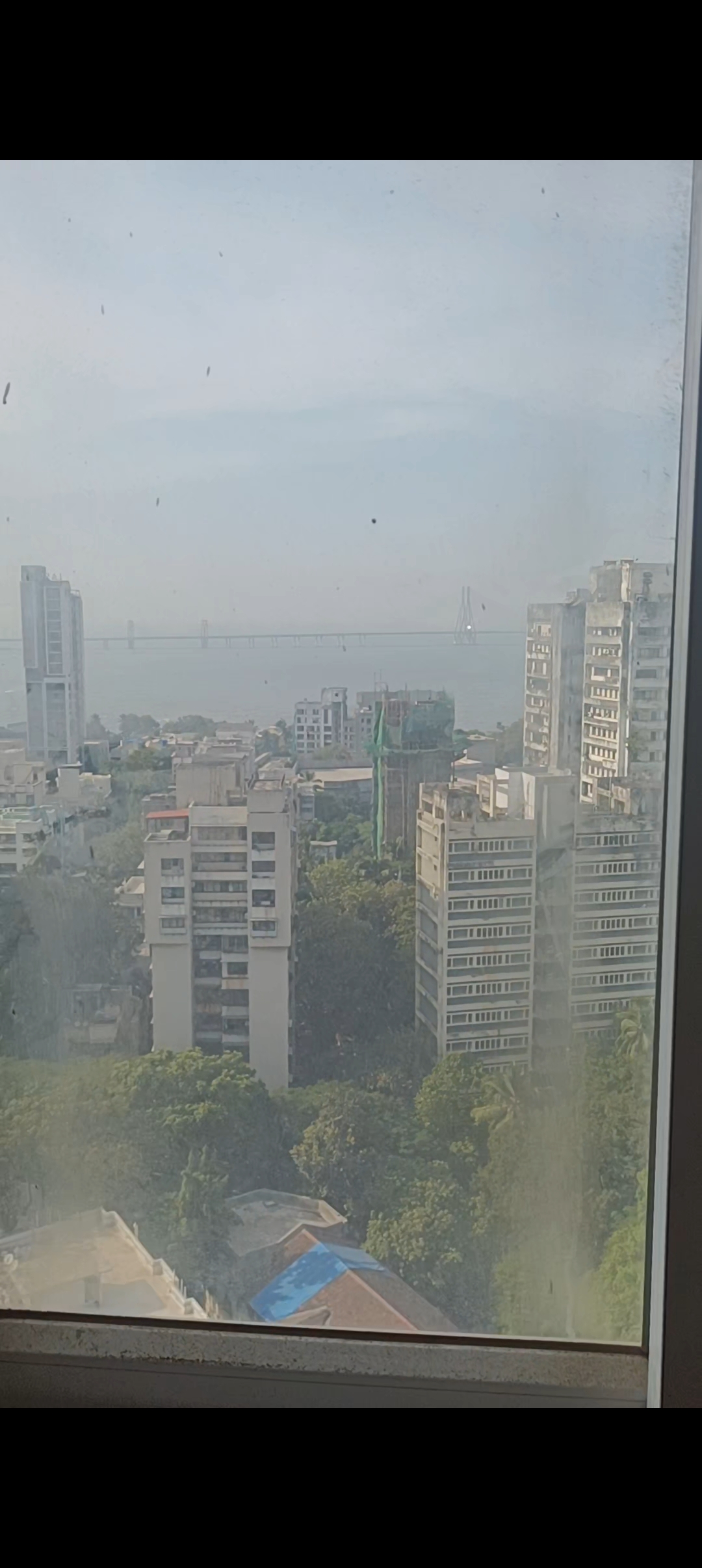 1 BHK Apartment For Sale in Suraj Ave Maria