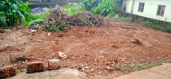 Plot For Resale in Kavoor Mangalore  7918492