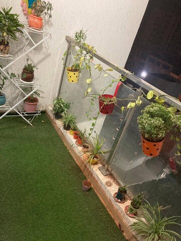 1 BHK Apartment For Rent in Duville Riverdale Heights, Kharadi