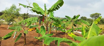  Plot – Garden View at Kamkole - for Sale