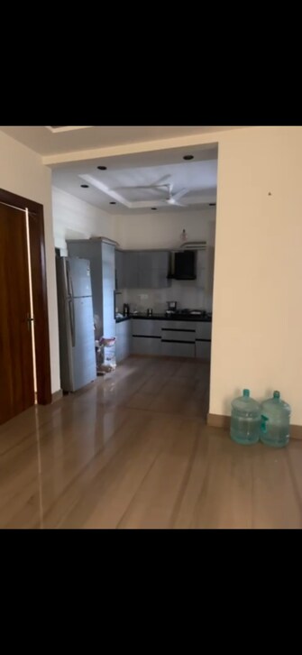 3 BHK Independent House For Rent in Sector 12 Sonipat  7918927