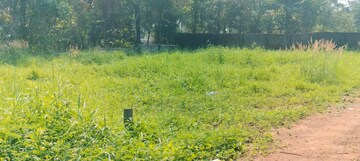 Plot Area in  Plot at Nellikunnu – for Sale