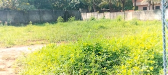 Plot For Resale in Nellikunnu Thrissur  7919158