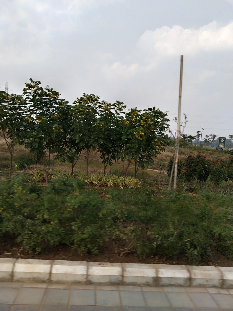 Master Bedroom, signature-global-daxin-vistas 3.5 Bedroom 1850 Sq.Ft. Apartment In Bhondsi Gurgaon 7919213