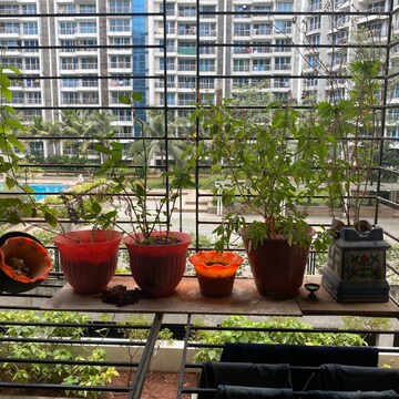 2 BHK Apartment – Exterior View View at Shree Balaji  Om Harmony, Kharghar Sector 10 - for Rent