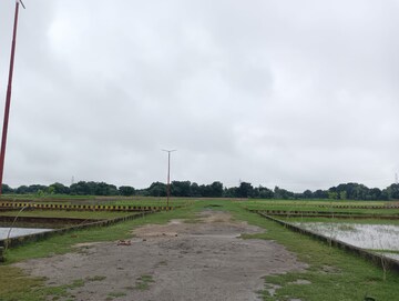 Plot Area in  Plot at Mohanlalganj – for Sale