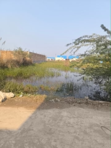 Plot For Resale in Kanjhawala Delhi  7919401