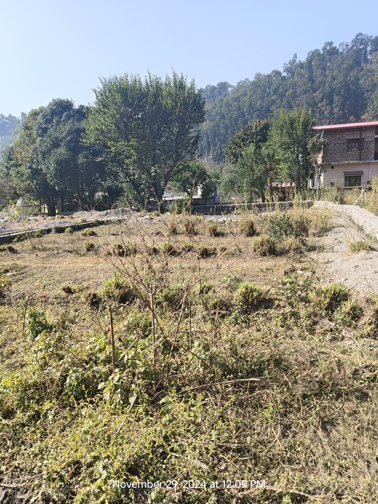 undefined, sahastradhara road  200 Sq.Yd. Plot In Sahastradhara Road Dehradun 7919441