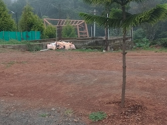 Plot For Resale in Kothari Layout Nilgiris  7918117