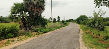 Plot For Resale in Ibrahimpatnam Hyderabad  7919829