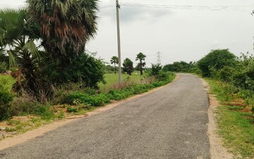 Plot For Sale in Ibrahimpatnam