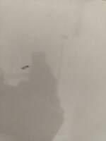 179 Sq.Yd. Plot in Paras Ekam Homes