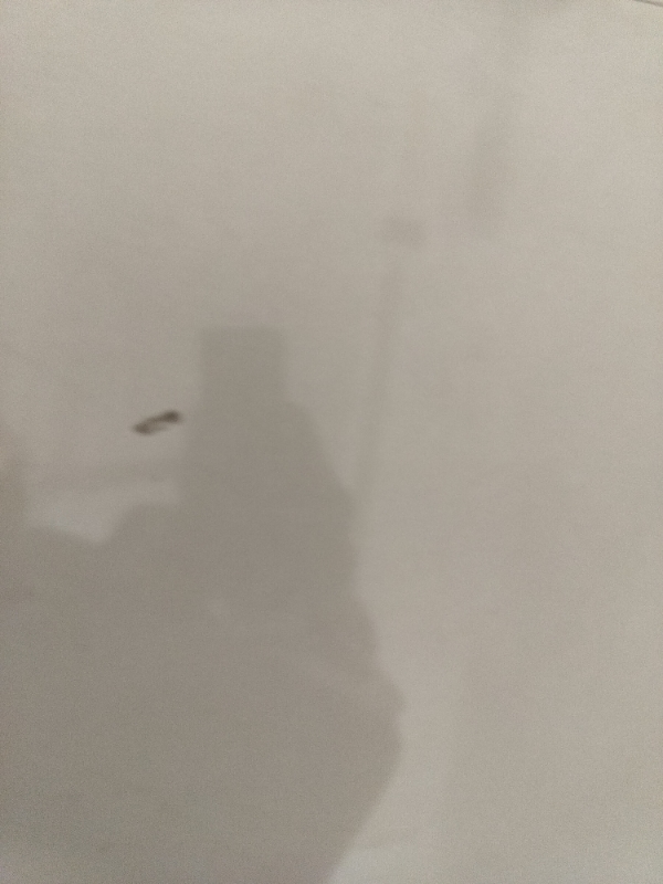 Plot For Sale in Paras Ekam Homes