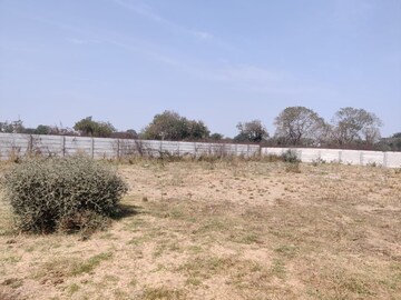  Plot For Sale in Ghuma