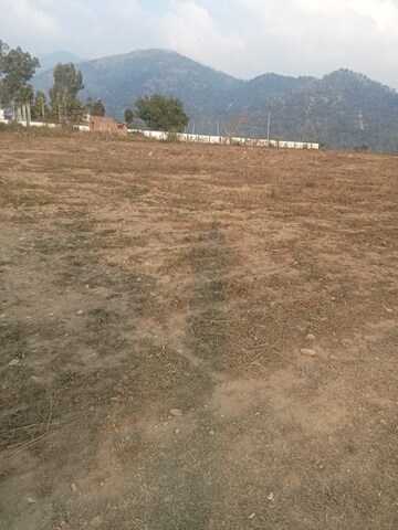 Plot For Resale in Dehradun Cantt Dehradun  7919699