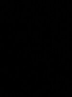 3 BHK + Servant Room 263 Sq.Yd. Builder Floor in Sector 45