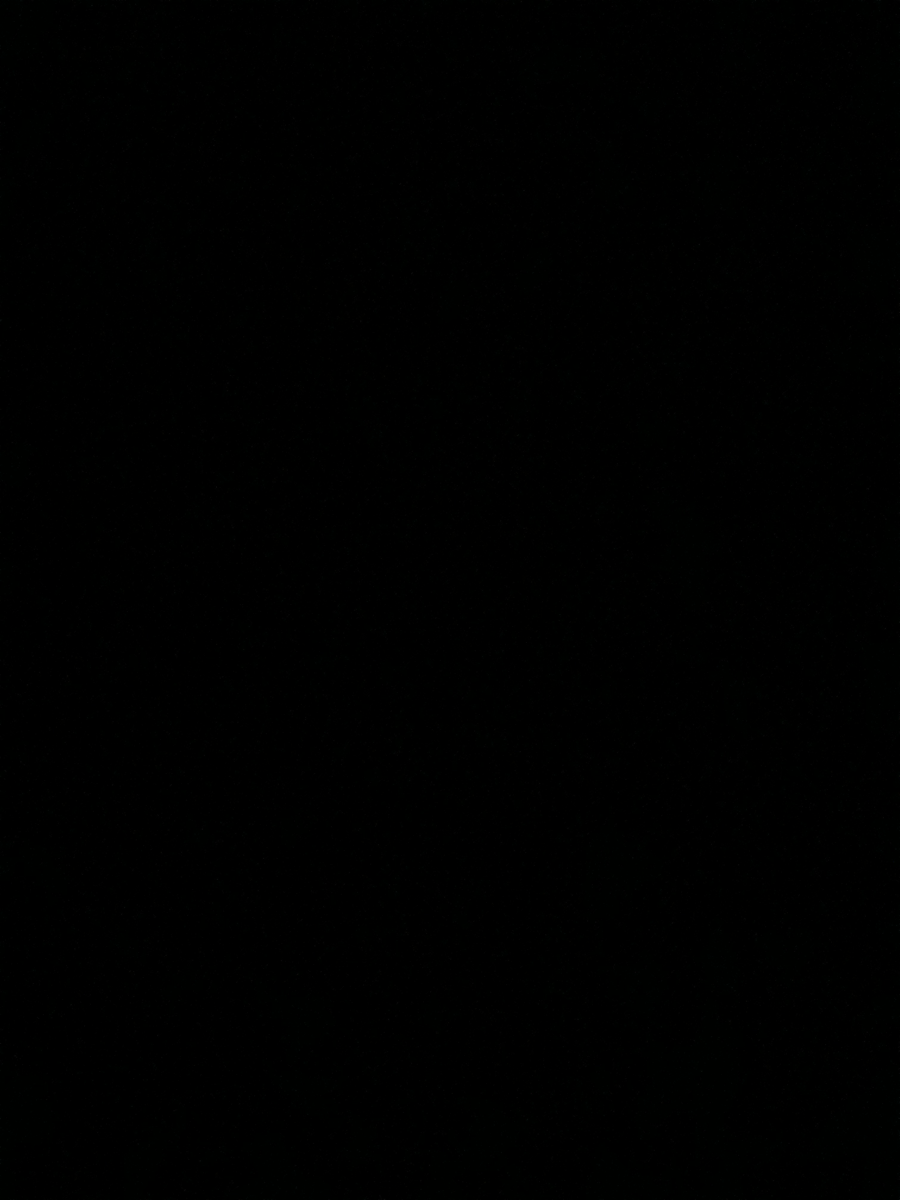 3 BHK + Servant Room Builder Floor For Sale in Sector 45