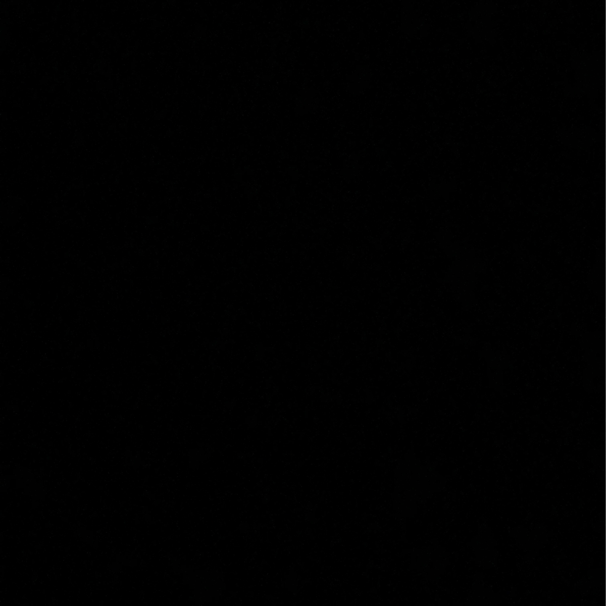 3 BHK + Servant Room Builder Floor For Sale in Sector 45