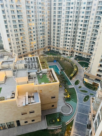 3 BHK Apartment For Rent in Ambience Creacions Sector 22 Gurgaon  7919996