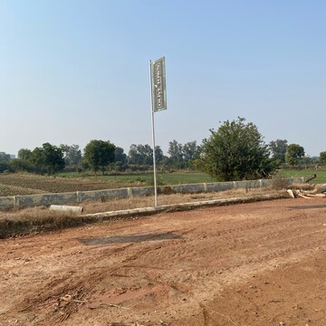 Plot Area in  Plot at Sector 98 – for Sale