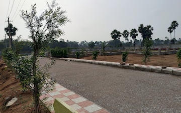 Plot For Sale in Taramatipet