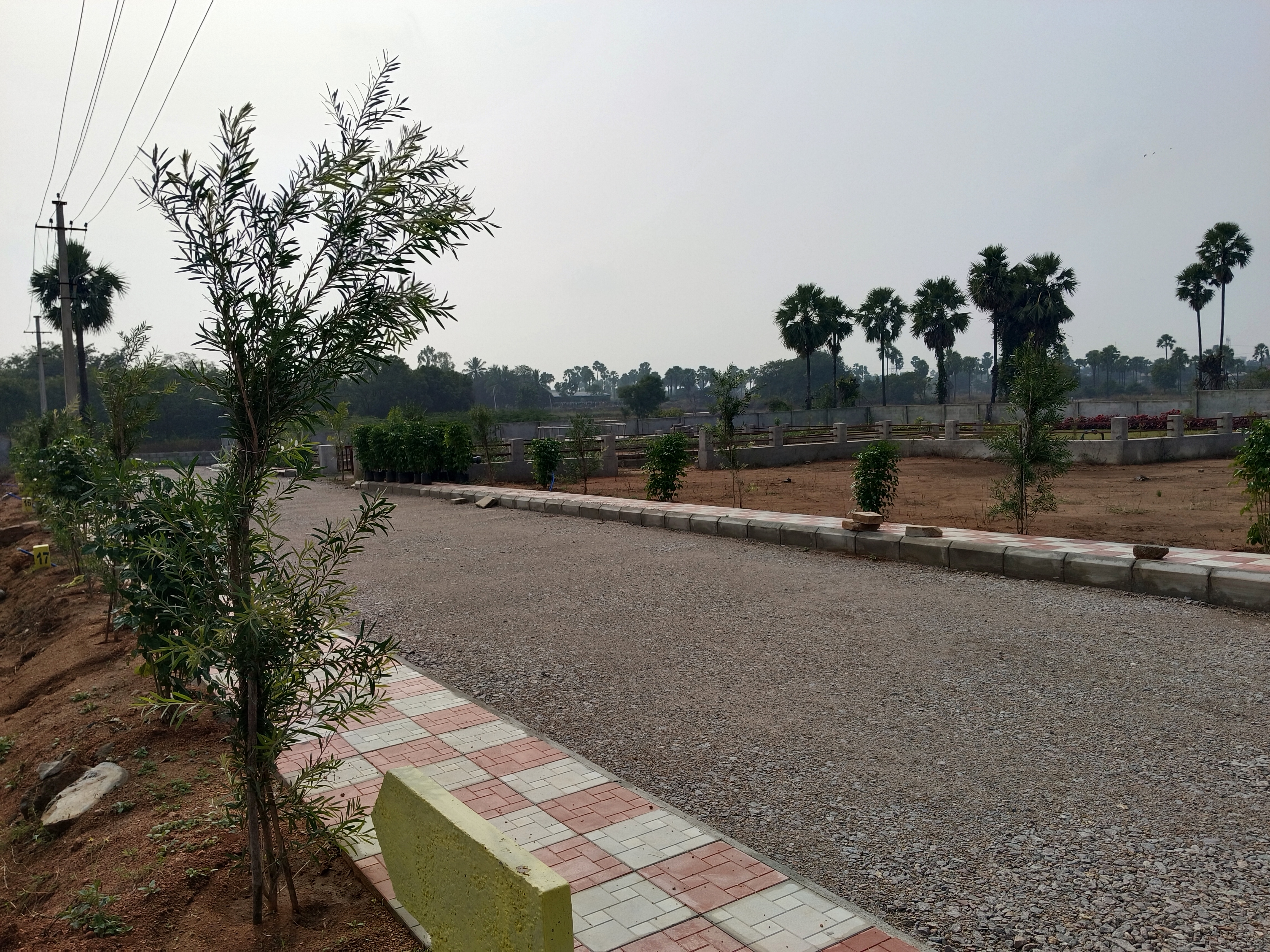 Plot For Sale in Taramatipet