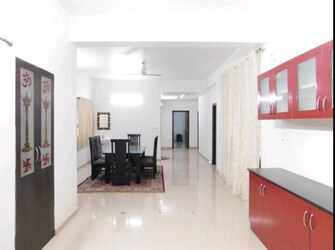 3 BHK Apartment For Rent in Jain Ravi Gayatri Heights Hi Tech City Hyderabad  7920558