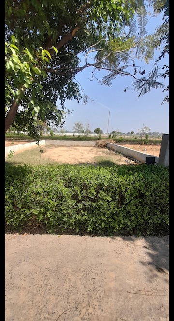 Plot For Resale in Jewar Greater Noida  7921043