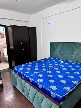 3 BHK Apartment For Rent in Sector 88 Mohali  7921070