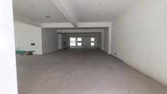 Commercial Warehouse 7800 Sq.Yd. For Rent in Sector 16 Gurgaon  7921110