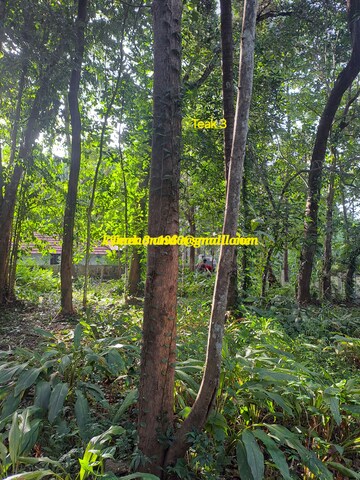 Plot For Resale in Chamravattom Malappuram  7921224