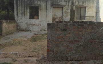 Plot For Sale in Delta Ii Greater Noida