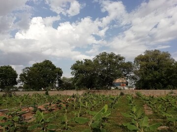 Plot Area in  Plot at Tukkuguda – for Rent