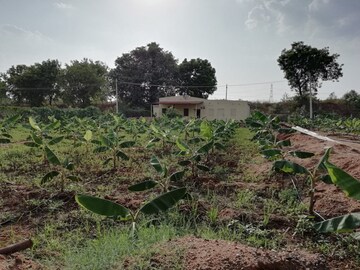 Plot Area in  Plot at Tukkuguda – for Rent