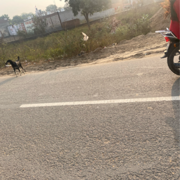 Parking in  Plot at Sector 67 – for Sale
