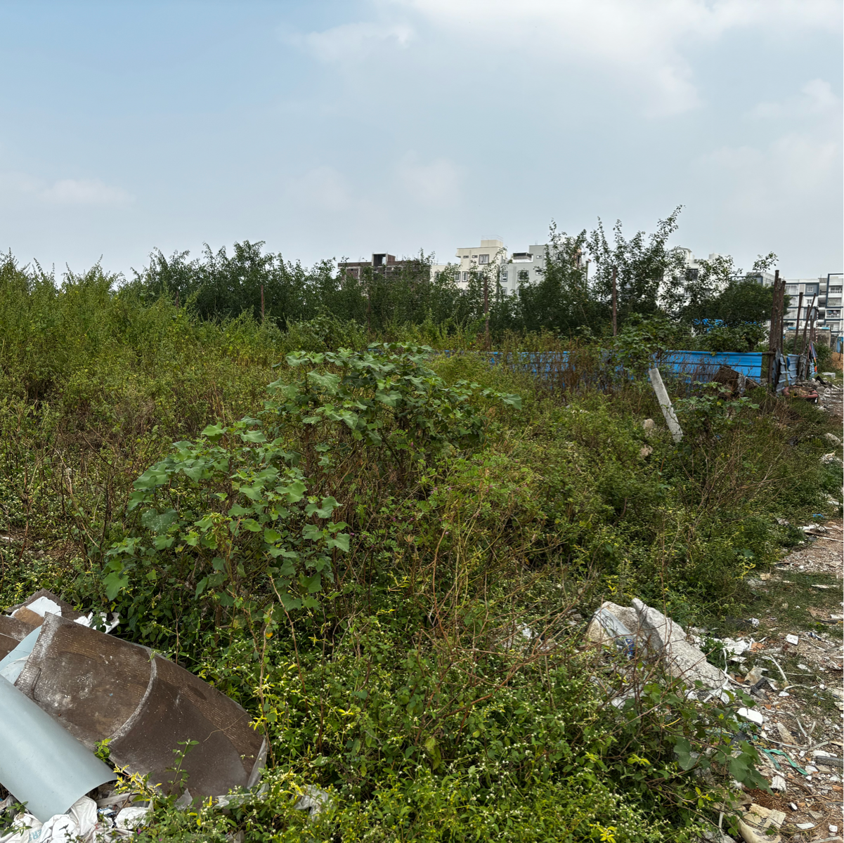 Plot For Sale in Peeranchuruvu