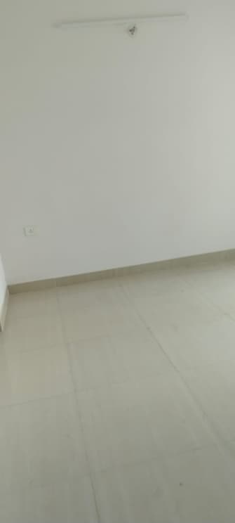 3 BHK Builder Floor For Rent in Dlf Cyber City Sector 24 Gurgaon  7921763