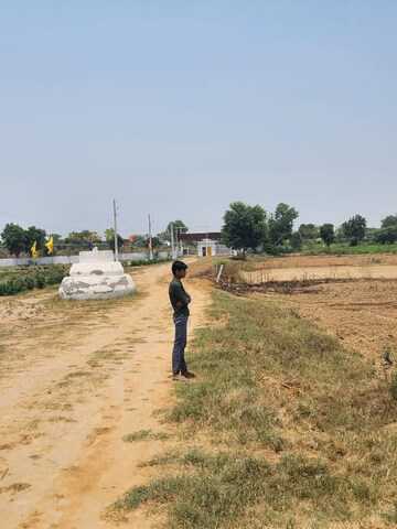 Plot Area in  Plot at Tappal – for Sale