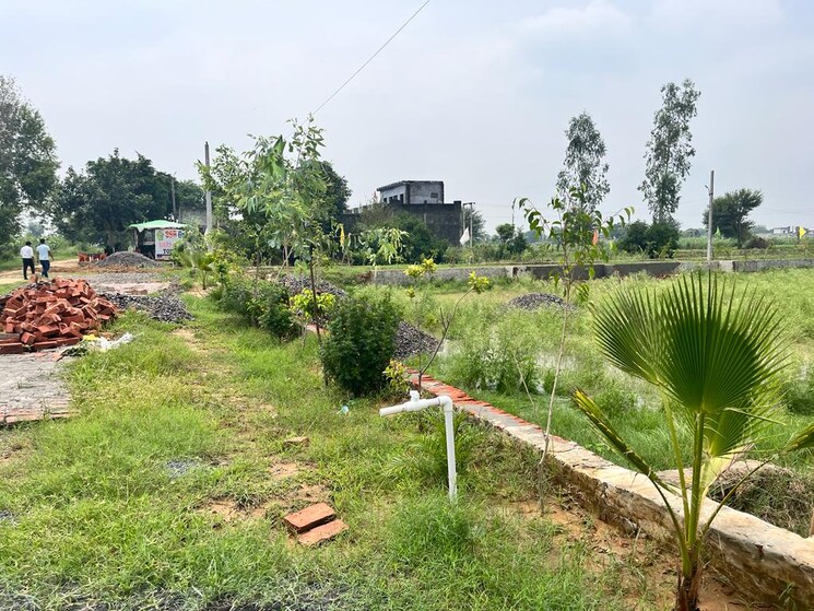 Garden, tappal  300 Sq.Yd. Plot In Tappal Aligarh 7922145