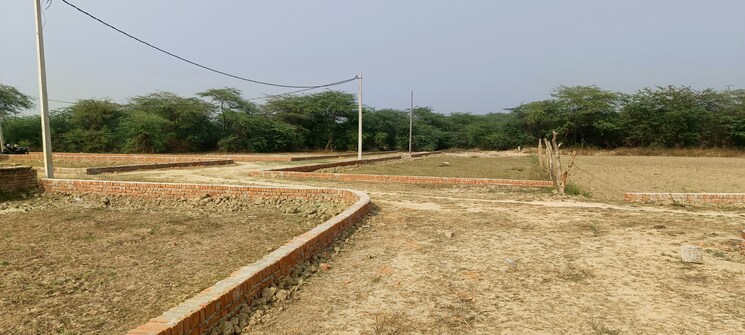 undefined, jankipuram extension  1000 Sq.Ft. Plot In Jankipuram Extension Lucknow 7922262