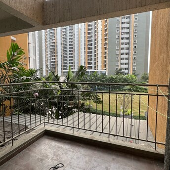 2 BHK Apartment For Rent in Shapoorji Pallonji Joyville Hinjewadi Bhoirwadi Pune  7922419