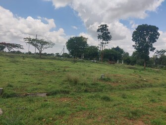 Plot For Resale in Hunsur Road Mysore  7922720