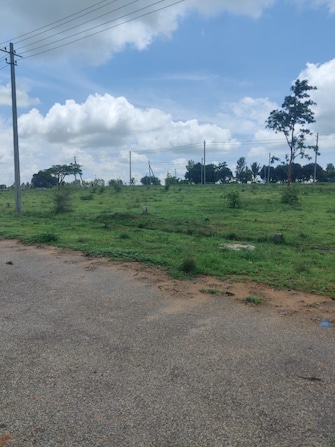 Plot For Resale in Hunsur Road Mysore  7922720