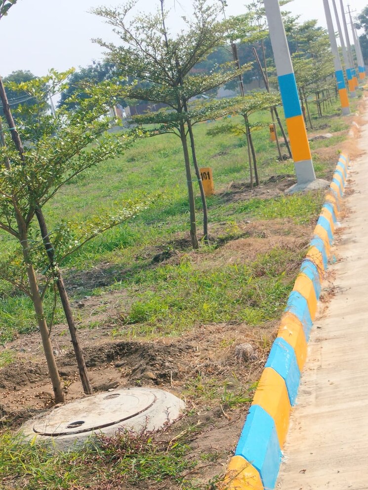 Garden, sunrise-golden-galaxy  152 Sq.Yd. Plot In Shadnagar Hyderabad 7922747