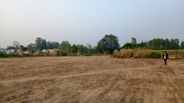 Plot Area in  Plot at Selakui – for Sale